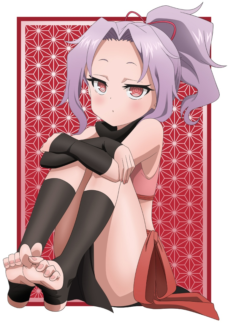 /files/06888_1girl_asa_no_ha_(pattern)_bangs_black_gloves_feet.png