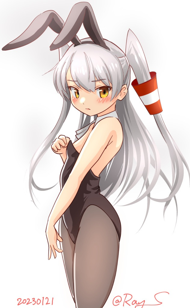 Result /files/12973_1girl_alternate_costume_amatsukaze_(kancolle)_animal_ears_black_leotard.png