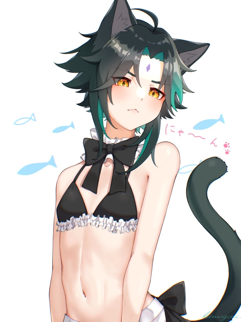 Result /files/19033_1boy_animal_ears_bikini_cat_ears_cat_tail.png