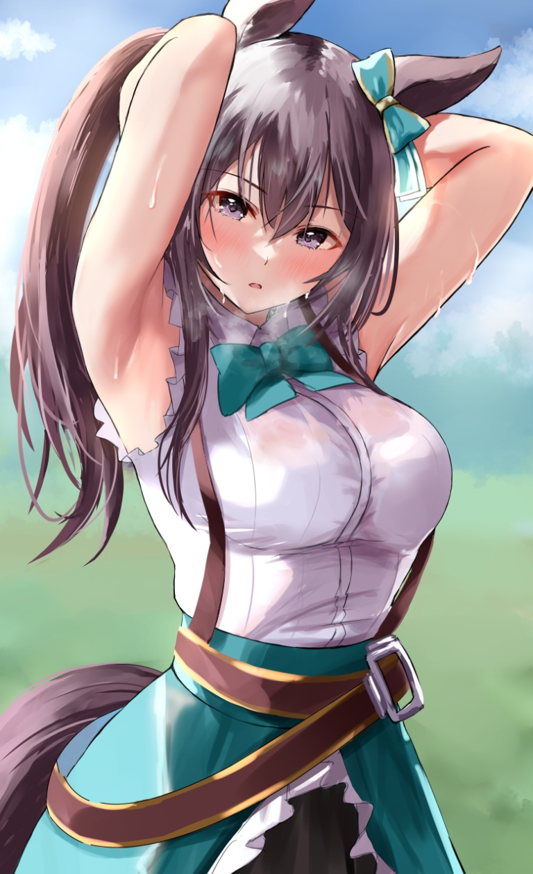 Result /files/18898_1girl_animal_ears_armpits_breasts_brown_hair.png