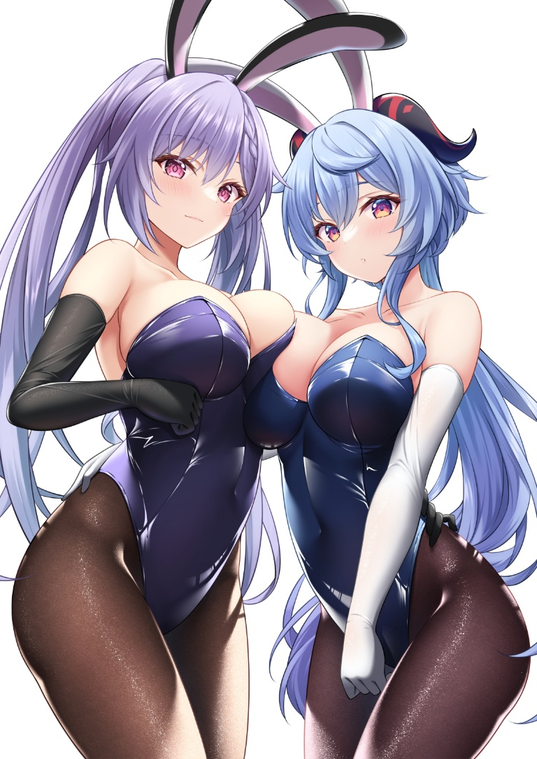 /files/16514_2girls__o_akira_(sayo_dayoo)_alternate_costume_animal_ears.png