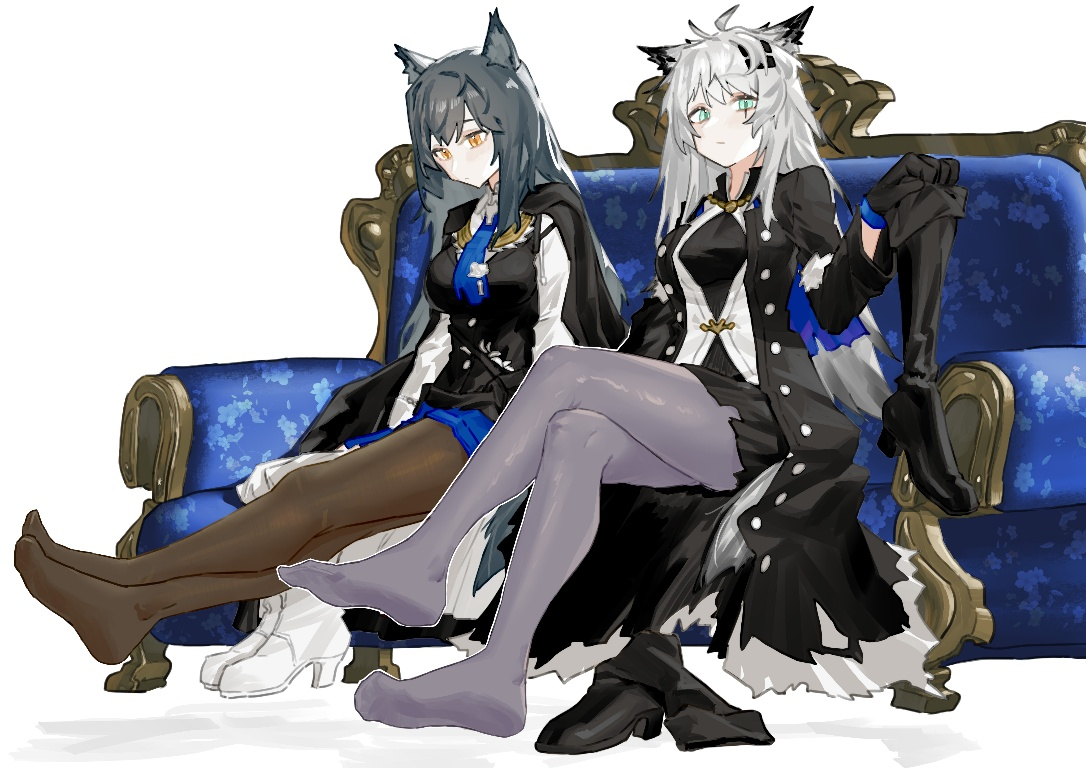 Result /files/02537_2girls_animal_ear_fluff_animal_ears_arknights_black_cape.png