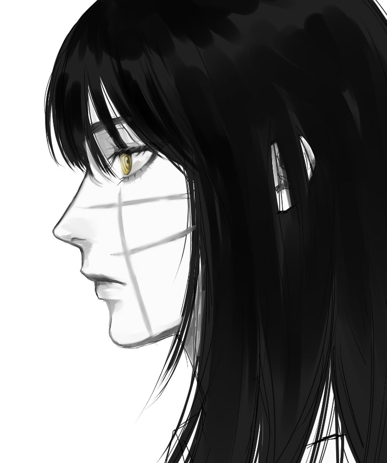 Result /files/12525_1girl_bangs_black_hair_chainsaw_man_from_side.png