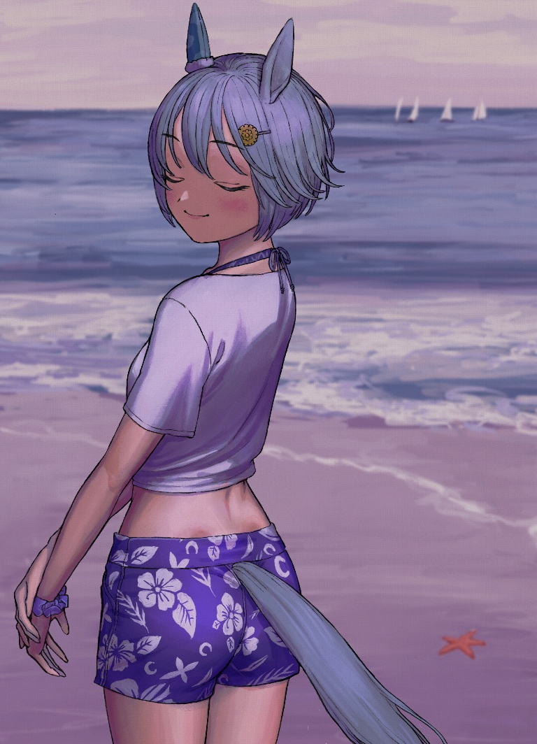 Result /files/11690_1girl_animal_ears_beach_blush_boat.png