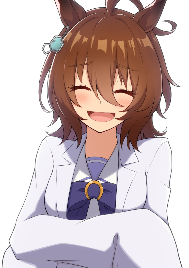 Result /files/14559_1girl_agnes_tachyon_(umamusume)_ahoge_animal_ears_brown_hair.png