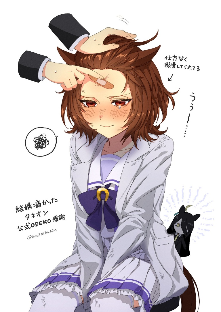 Result /files/19049_1other_2girls_agnes_tachyon_(umamusume)_animal_ears_bandaid.png