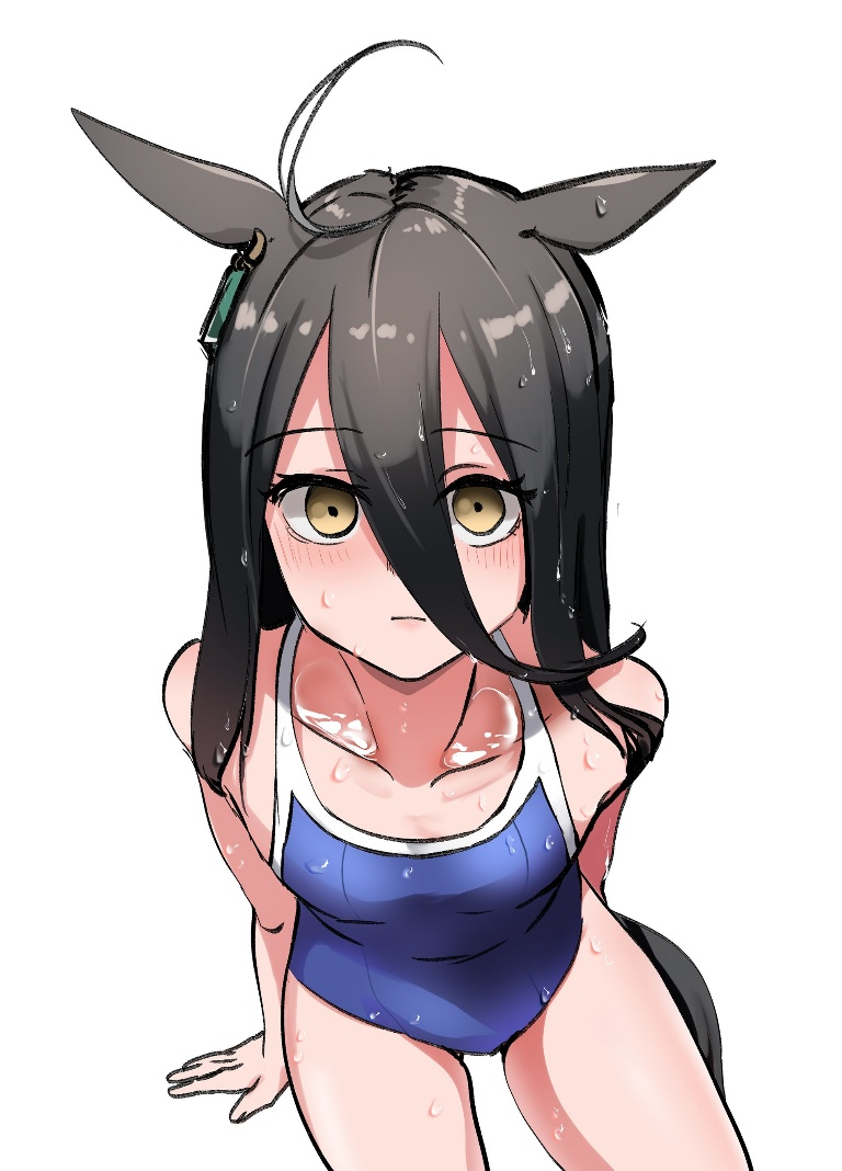 Result /files/19104_1girl_alternate_costume_animal_ears_bare_arms_bare_legs.png