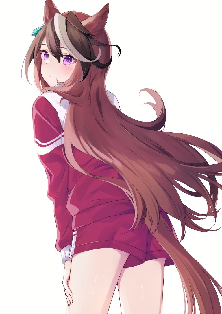 /files/14488_1girl_animal_ears_bangs_blindfold_brown_hair.png