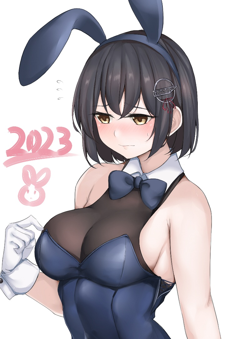 Result /files/16295_1girl_alternate_costume_animal_ears_black_hair_blue_leotard.png