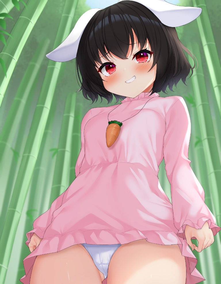 /files/08289_1girl_animal_ears_bamboo_bangs_black_hair.png