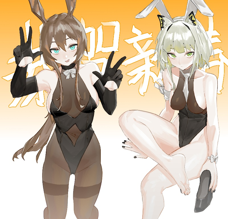 Result /files/11737_2girls__d_amiya_(arknights)_animal_ears_arknights.png