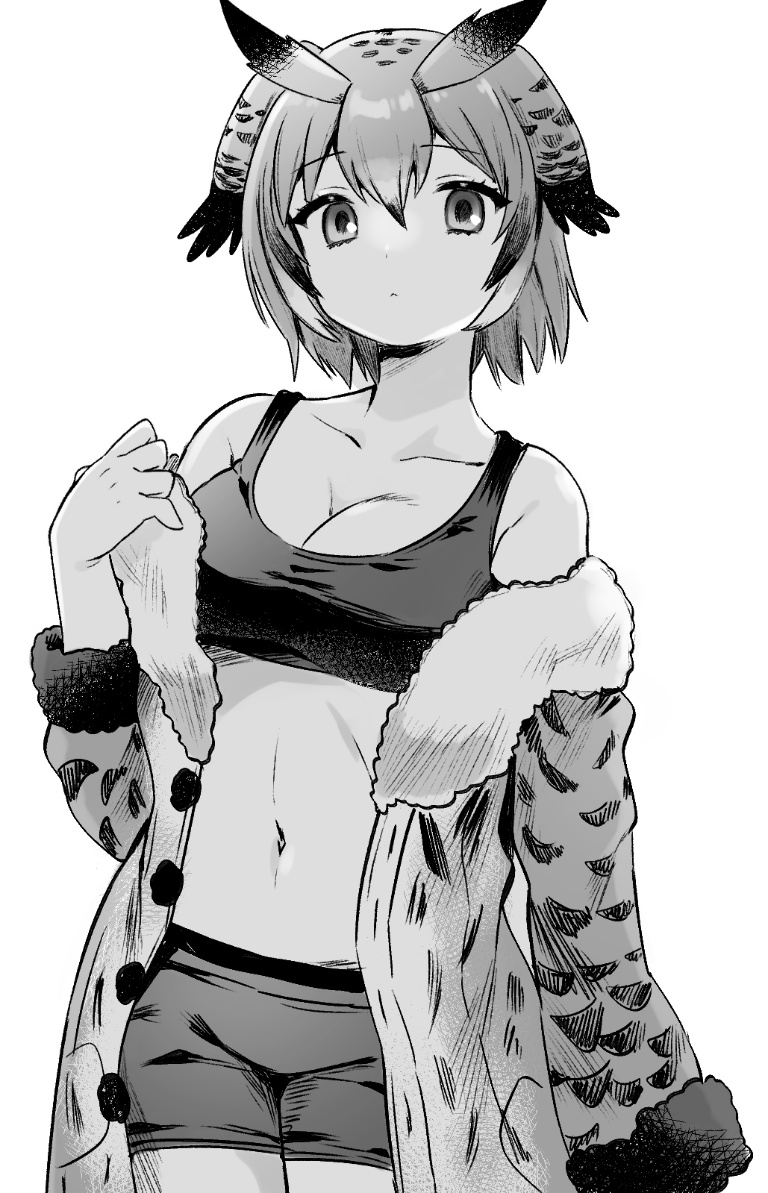 Result /files/20814_1girl_breasts_cleavage_dot_nose_eurasian_eagle_owl_(kemono_friends).png