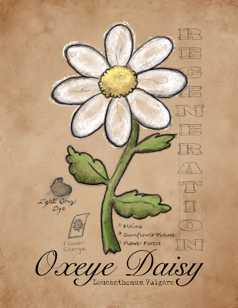 /files/07225_brown_background_daisy_english_commentary_flower_flower_focus.png