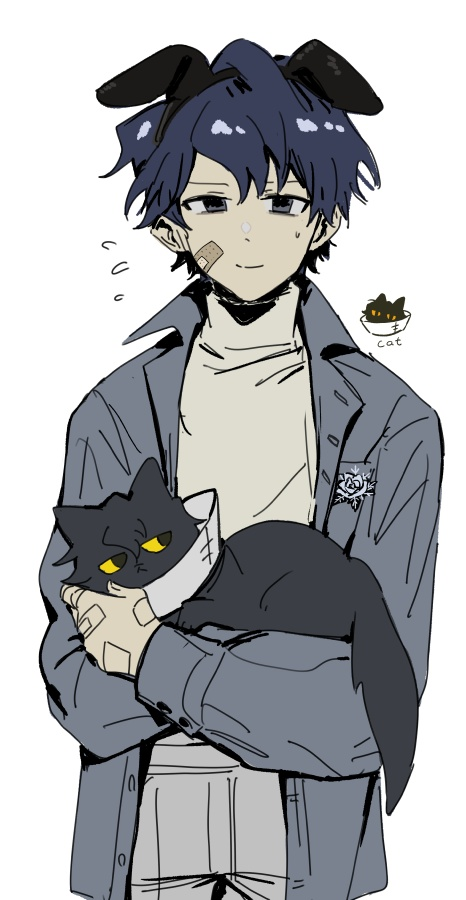 /files/01539_1boy_animal_animal_ears_bandaid_bandaid_on_cheek.png