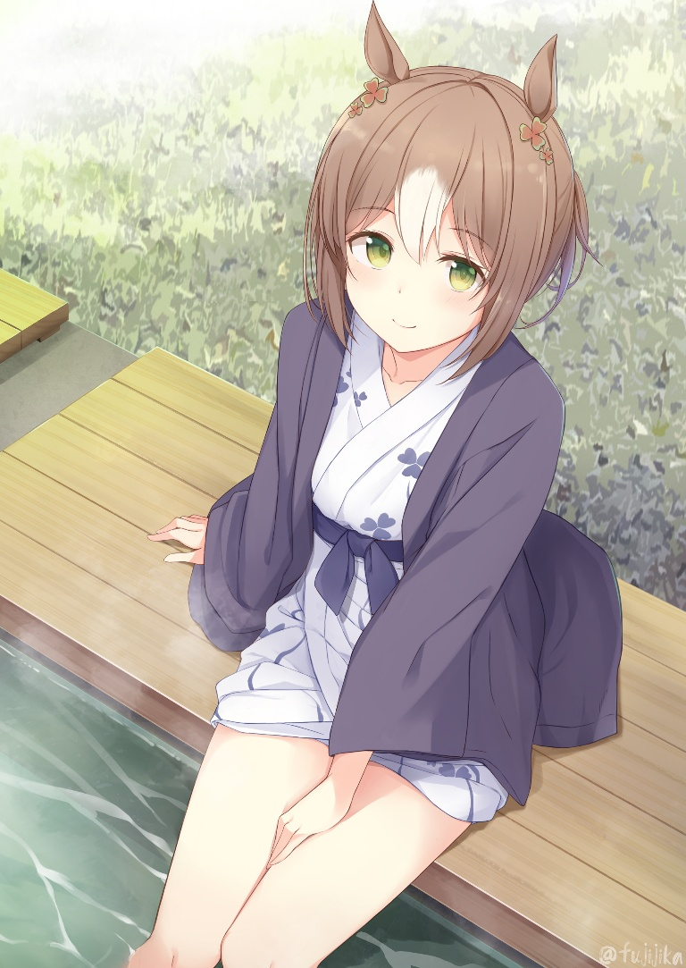 /files/00551_1girl_animal_ears_ashiyu_bangs_brown_hair.png