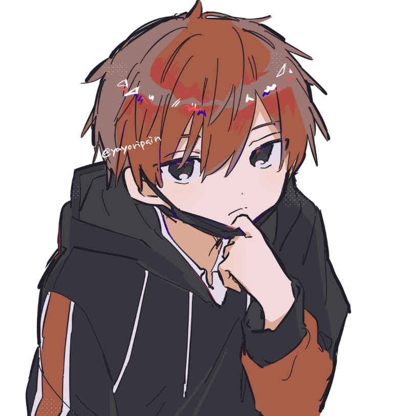 Result /files/14799_1boy_black_eyes_black_hoodie_closed_mouth_hood.png