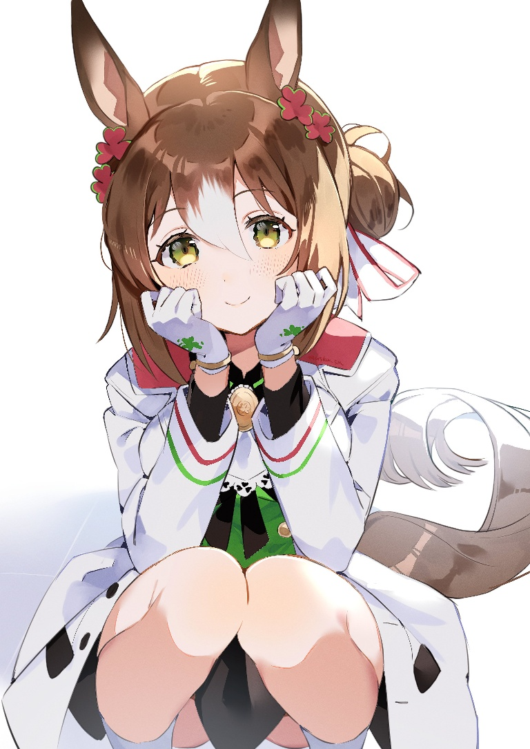 Result /files/02401_1girl_animal_ears_blush_brown_hair_clover_hair_ornament.png