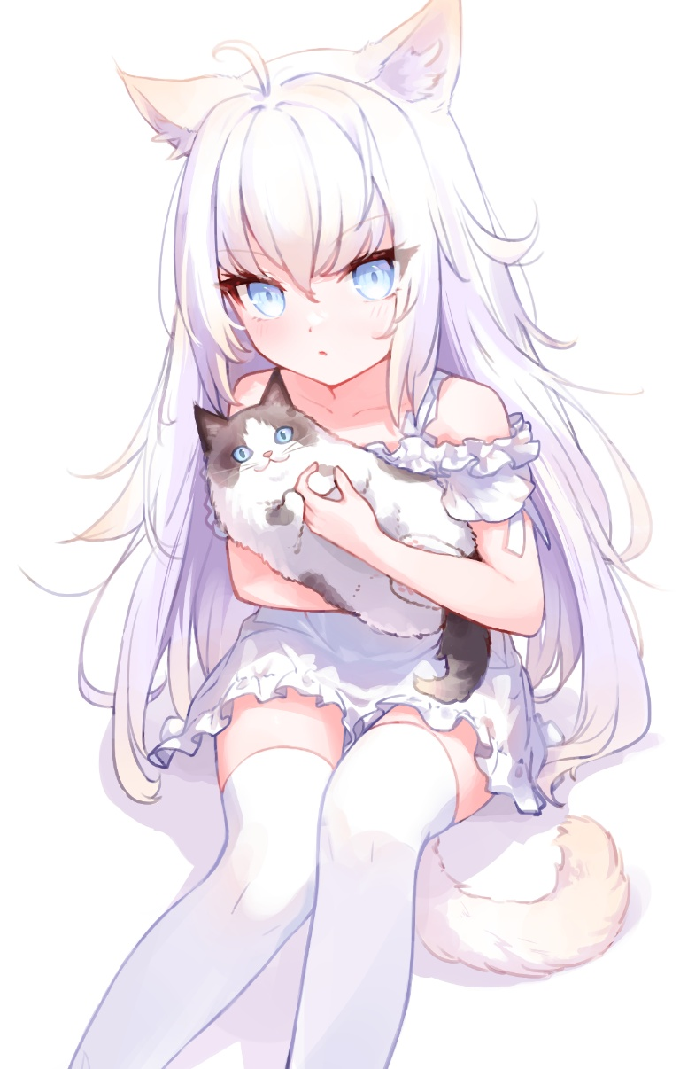 Result /files/00487_1girl_akinohijira_animal_animal_ear_fluff_animal_ears.png