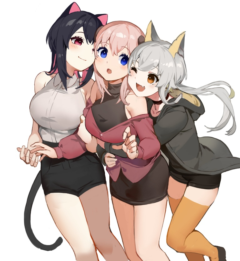 /files/05666_3girls__d__d_akizone_animal_ears.png