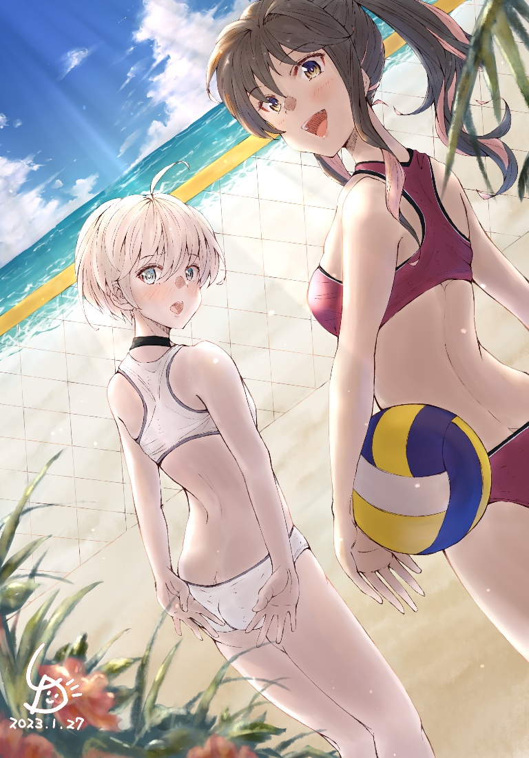 Result /files/00029_2girls_ahoge_alternate_hairstyle_beach_beach_volleyball.png