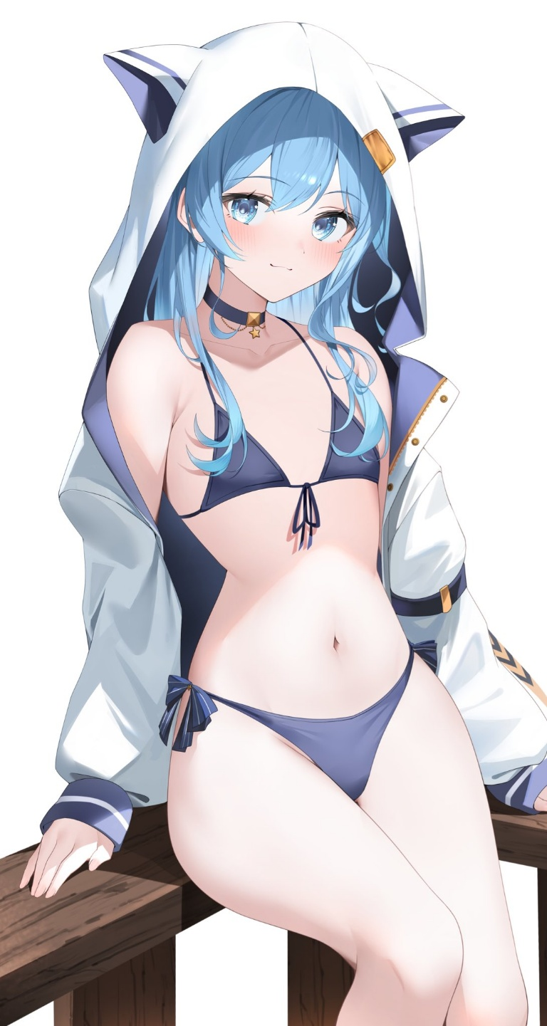 Result /files/02811_1girl_against_railing_animal_hood_bangs_bikini.png