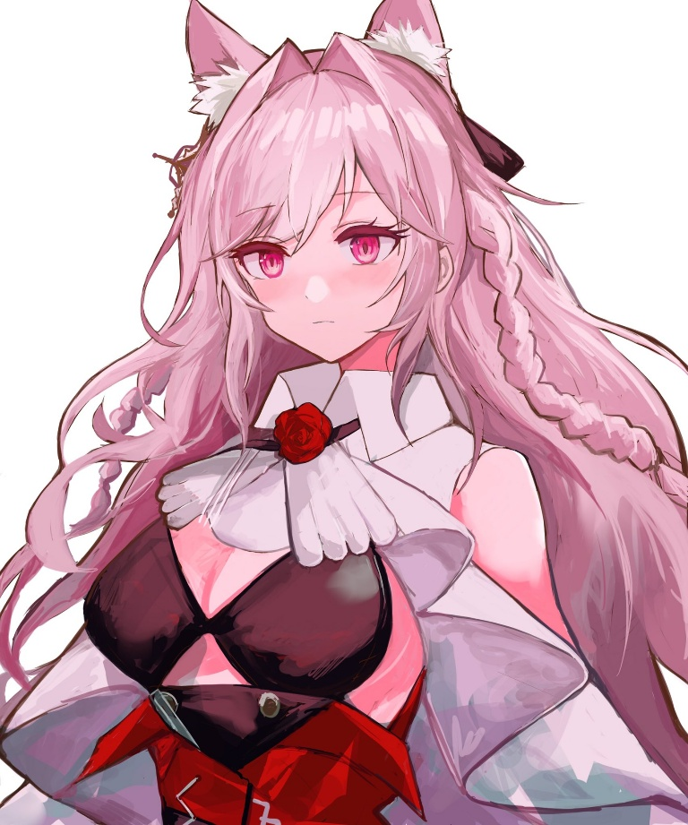 Result /files/12940_1girl_animal_ear_fluff_animal_ears_arknights_black_bra.png