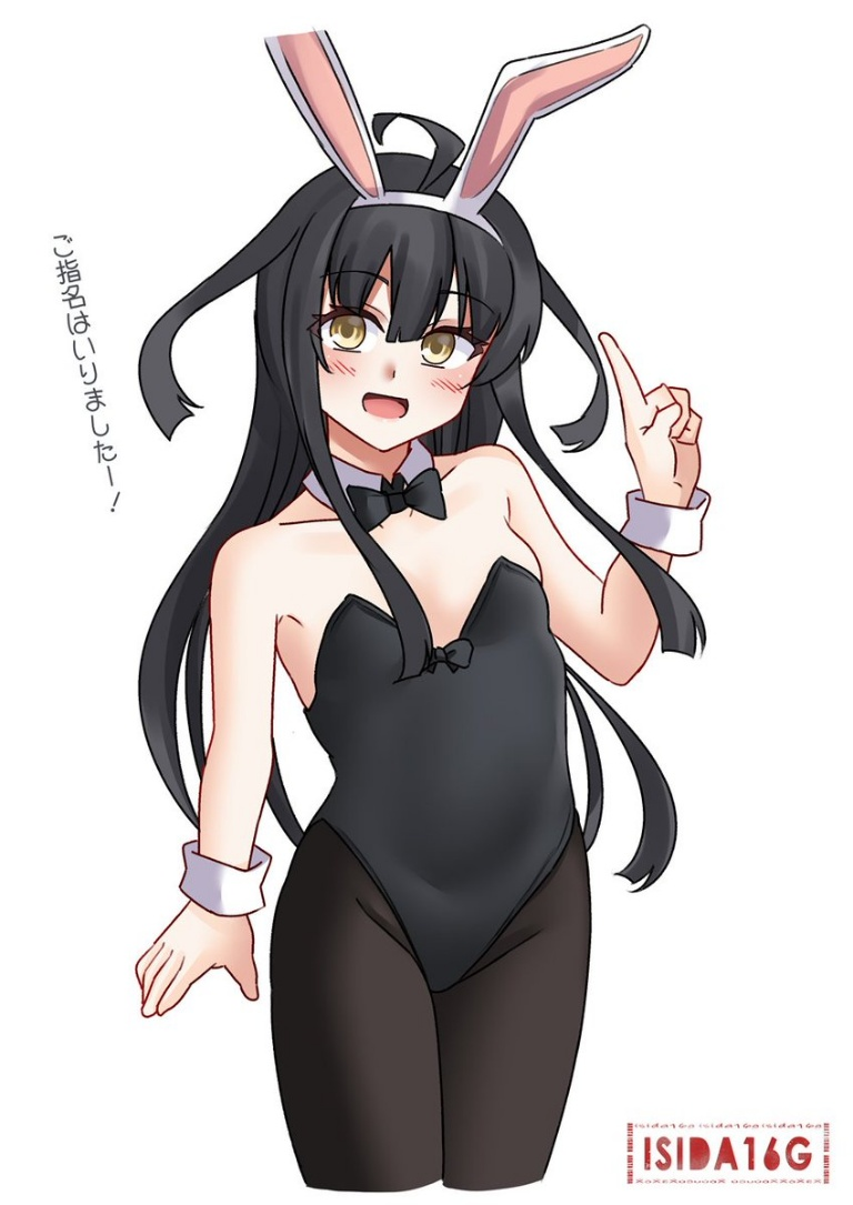 Result /files/14112_1girl_ahoge_animal_ears_black_hair_black_leotard.png