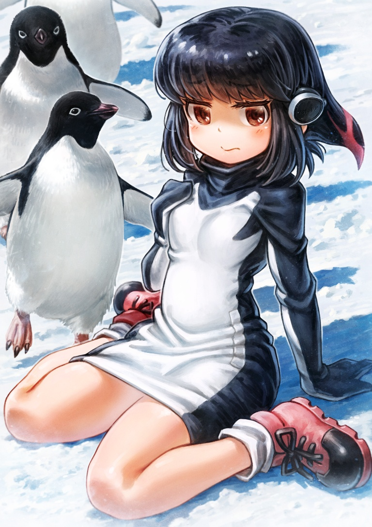 Result /files/03137_1girl_adelie_penguin_adelie_penguin_(kemono_friends)_bird_black_hair.png