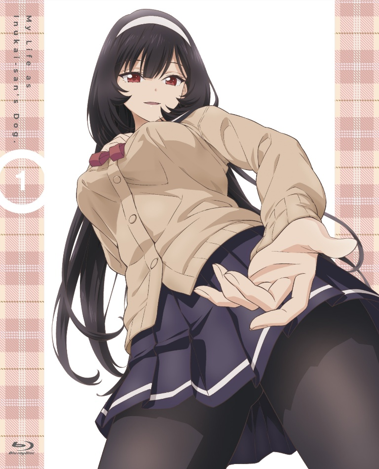 Result /files/17486_1girl_black_hair_black_pantyhose_blu-ray_cover_blue_skirt.png